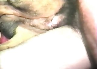 Disgusting fledgling bestiality in close-up shot
