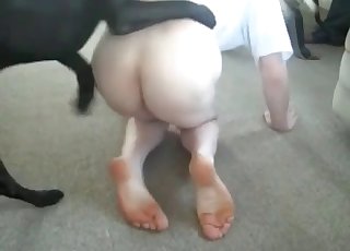Dog is humping the asshole of a horny zoophile