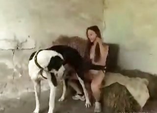 Large canine is having sex with a hot slender zoophile