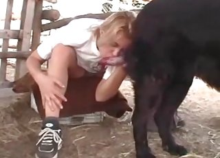 Two hot zoophiles are sucking a doggy boner