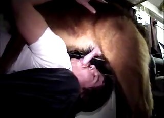 Absolutely outstanding amateur bestiality sex session