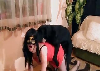 Ebony dog bangs an amateur with a scorching bod