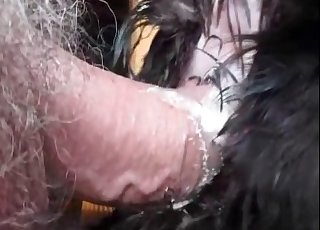Rear end is getting an amazing buttfuck internal cumshot by a masculine zoophile