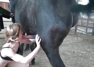 Animal dick for a sex-addicted zoophile hooker