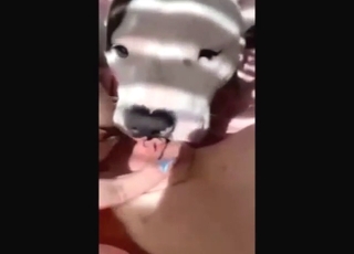 Sexy dog is going to make that girl his slave