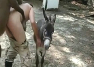 Dude is going to get ass-blasted by a stallion