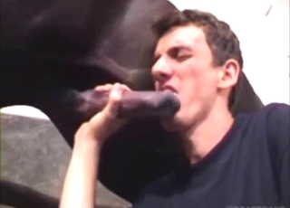 Horse cock sucker is going to worship that dong