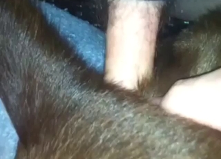 Porn Picture