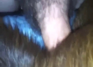 Zoo XXX with a dog taking long cock in the ass