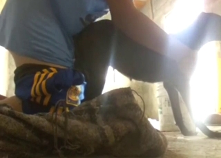 Zoo porn shows a guy jackhammering a dog