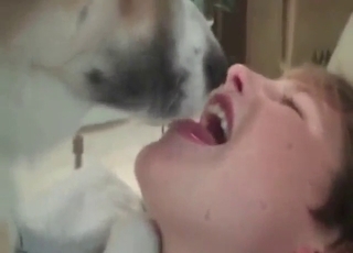 Naked zoophile making out with a hot dog
