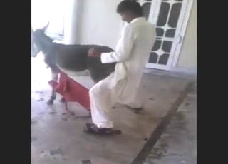 Donkey fucker is going to show his mad skillz
