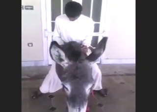 Donkey fucker is going to show his mad skillz