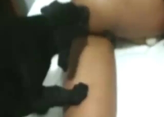 Dog licking that pussy to make the Latina wet