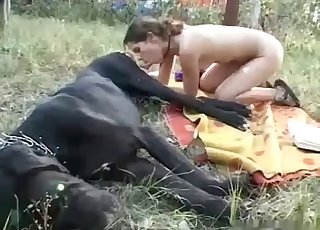 Impressive unexperienced bestiality with beast