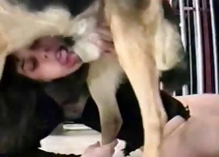 Amateur bestiality where a doggo gets a dirty Blow-job         