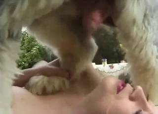 Fuck skills of French MILFs are hard to overrate