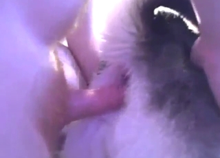 Dick and anal gape with a submissive mutt