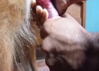 POV handjob scene with a guy just stroking