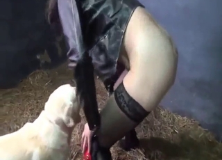 Bestiality porn: a pig-fucking lady who needs dick