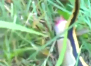 Bestiality + scat makes for the hottest videos