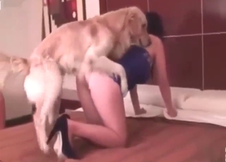 Passion with a dog that claims that hole big time