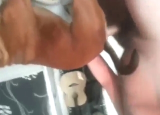 Their friendship leads to a few legit orgasms