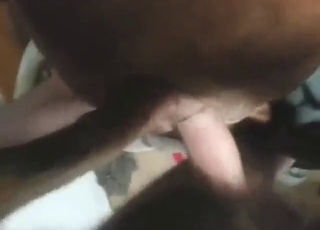 Their friendship leads to a few legit orgasms