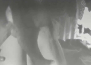 Skinny teen takes dog dick on all fours today