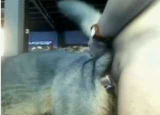 Guy shows what he can do with a sexy beast