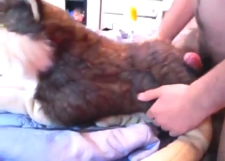 Dude's hard penis is used for plushie pleasure