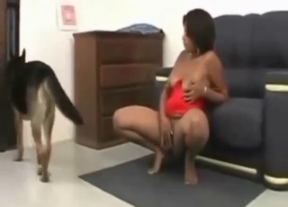 Good-looking Latina wants to fuck German Shepherd