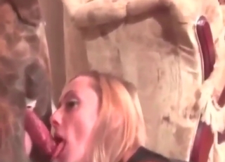 Good-looking zoophile porn star sucks fat cock