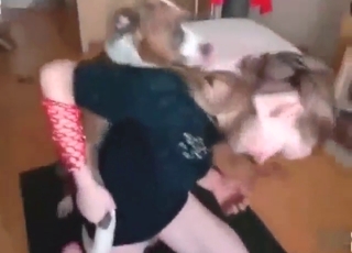 Zoophilic gal with a hot pussy fucks a grey dog