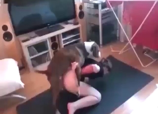 Zoophilic gal with a hot pussy fucks a grey dog