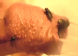 Kind of bestiality sex with flies in his foreskin