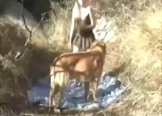 Skirt-wearing blonde zoophile wants dog to lick