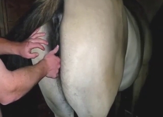 Mare pussy is straight-up irresistible in this one