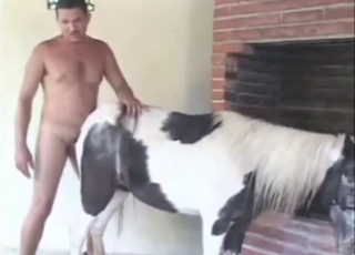 Bestiality porn is all about mare fucking and more