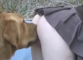 Skirt-wearing blonde zoophile wants dog to lick