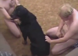 Zoophile porn movie with two dudes who fuck