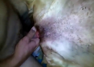 Sweaty, musky, and close-up fuck with dog