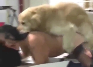 Captivating dog uses its dick to fuck that lady